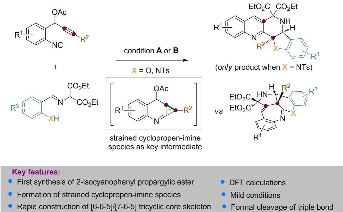 20240905-2.jpg 20240905-2.jpg